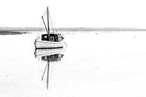 Misty in Burnham Overy Staithe