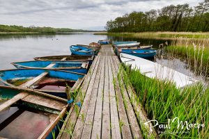 Ormesby Little Broad
