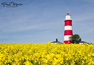 Happisburgh Lighthouse Yellows & Blues