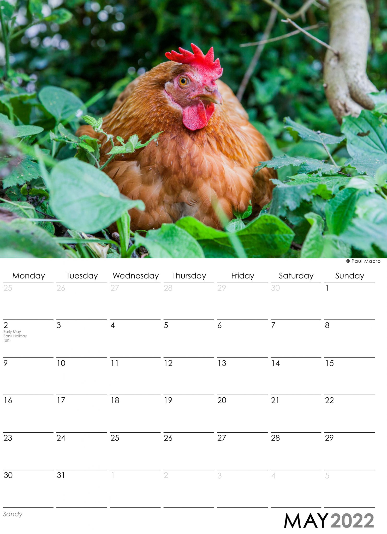 PRE ORDER FRESH START FOR HENS Charity 2022 Chicken Calendar Paul