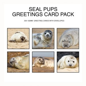 Seals Square Greetings Card Packs