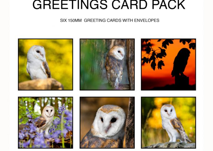 Square Greetings Card Packs
