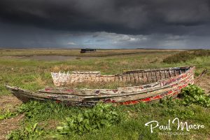 Past it's Best at Burnham Deepdale
