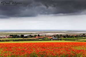 Storms & Poppies at Brancaster Staithe