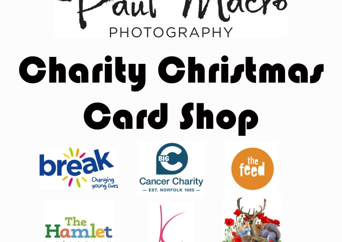 Chairty Christmas Card Shop