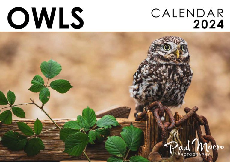 OWLS 2024 Calendar – Paul Macro Photography