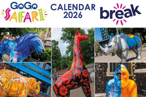 PRE ORDER GOGO SAFARI 2026 Calendar