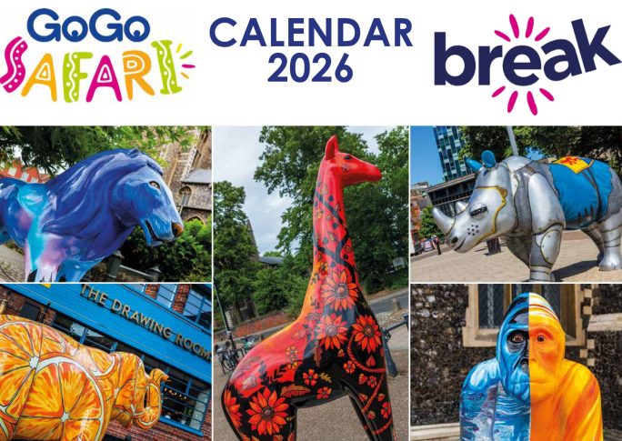 PRE ORDER GOGO SAFARI 2026 Calendar