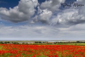 Poppies & Clouds at Brancaster Staithe